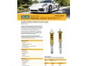 OHLINS ROAD&TRACK ADJUSTABLE SUSPENSION KIT PORSCHE 981 CAYMAN 2013-2016